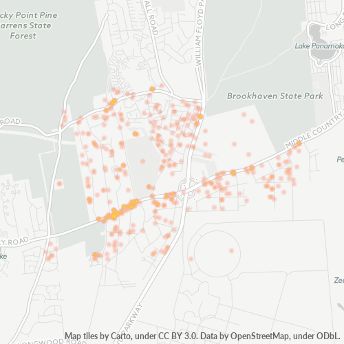 11961 Business Density Heatmap