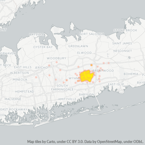 11729 Business Density Heatmap