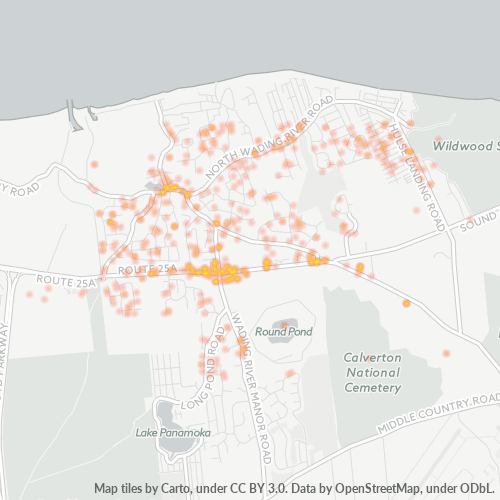 11792 Business Density Heatmap