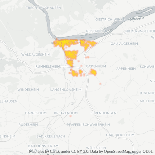Heatmap für plz 55411