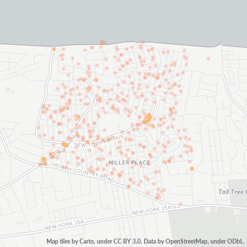 11789 Business Density Heatmap