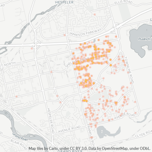 N1T Business Density Heatmap