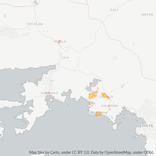 48600 Şirket Yoğunluğu Isı Haritası