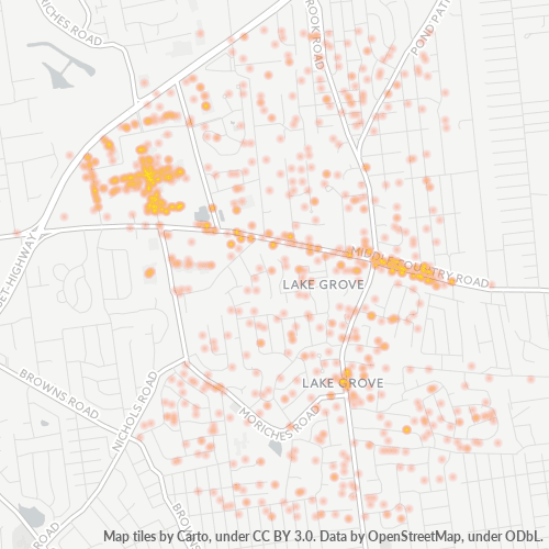 11755 Business Density Heatmap