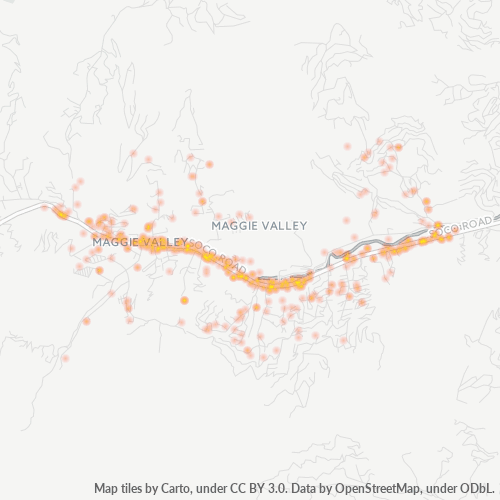 28751 Business Density Heatmap