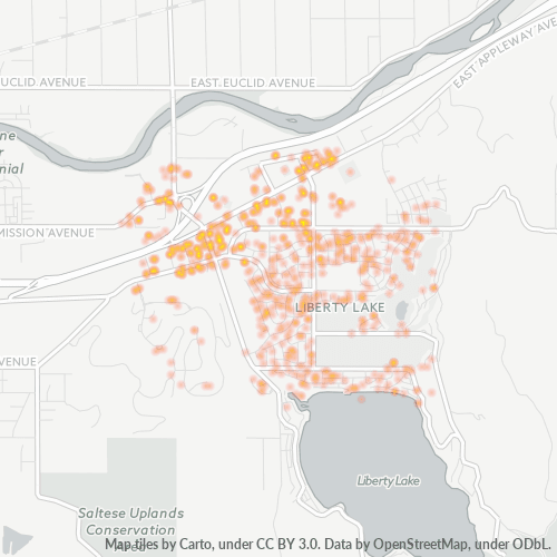99019 Business Density Heatmap