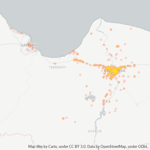 55500 Şirket Yoğunluğu Isı Haritası