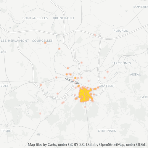 Heatmap voor postcode 6010