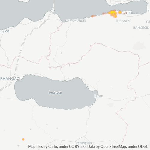 41950 Şirket Yoğunluğu Isı Haritası