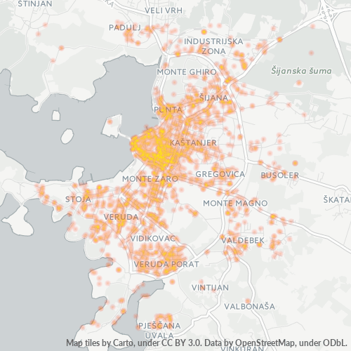 52100 Karta gustine preduzeća
