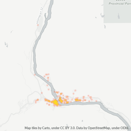 V1R Business Density Heatmap