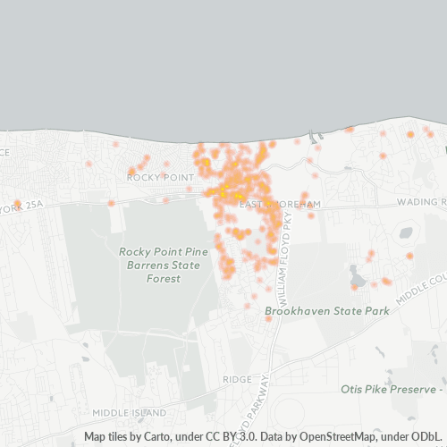 11786 Business Density Heatmap