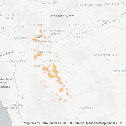56030 Mappa di concentrazione per la densità di aziende