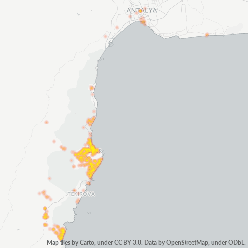 07980 Şirket Yoğunluğu Isı Haritası