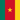Country Flag