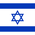 דגל מדינה