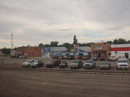 Shelby Image