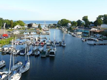 Olcott Image