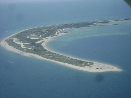 Crow Head Image