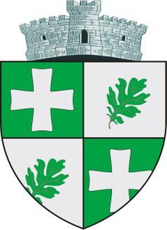 Tomești (Iași) Image