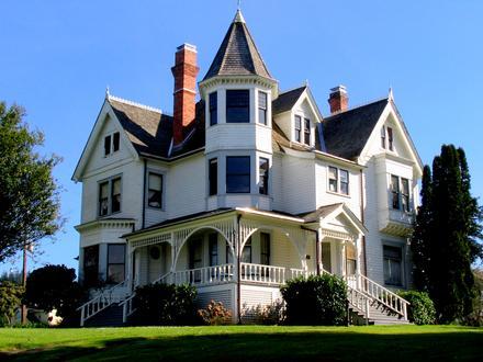 Coquille Image