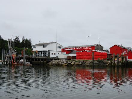Ilwaco Image