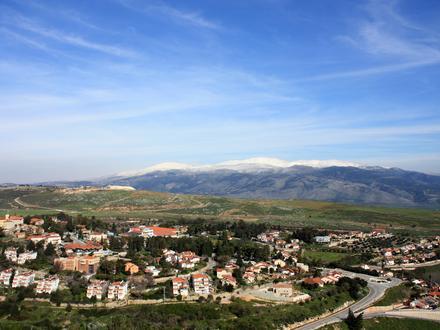 Metulla Image