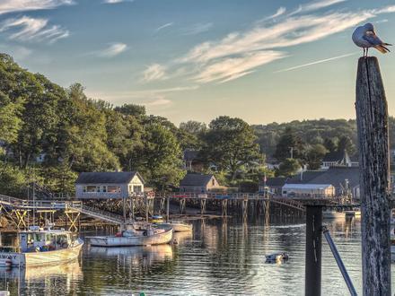 New Harbor Image