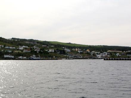 Bay Bulls Image