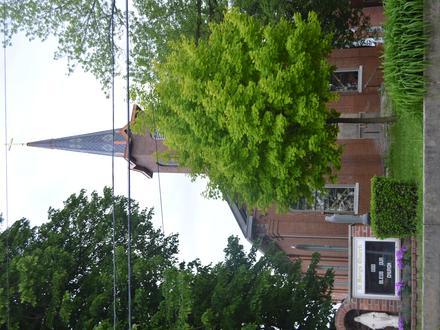 Brussels Image
