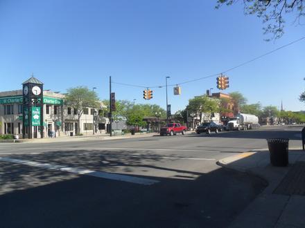 Wyandotte Image
