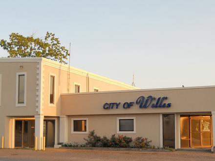 Willis Image