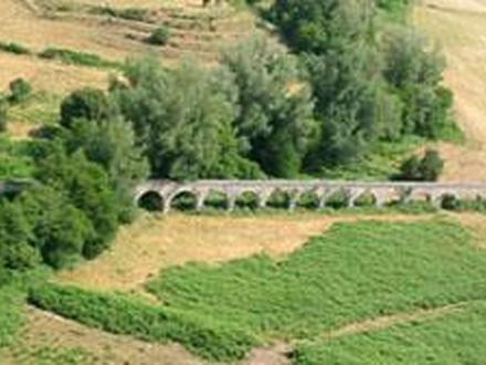 Sarrola-Carcopino Image