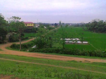 Cẩm Khê Image