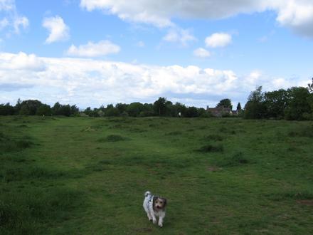Mangotsfield Image