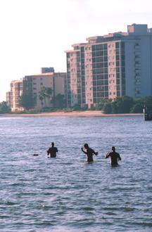 Fort Myers Beach Image