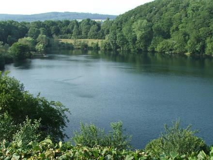 Ulmen Image