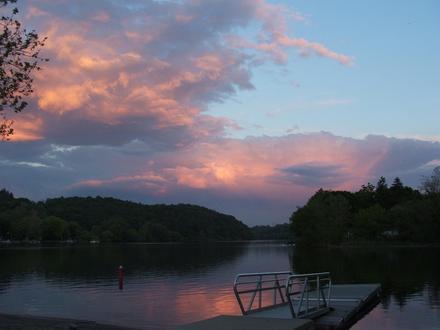 Shelton Image