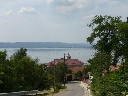 Coronini Image