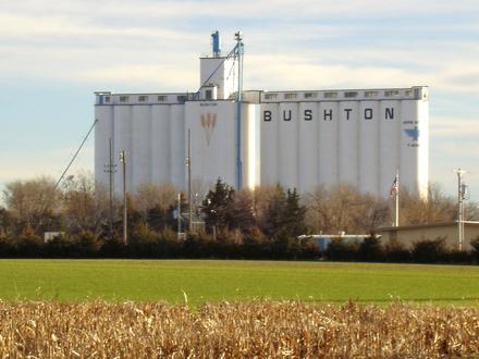 Bushton Image
