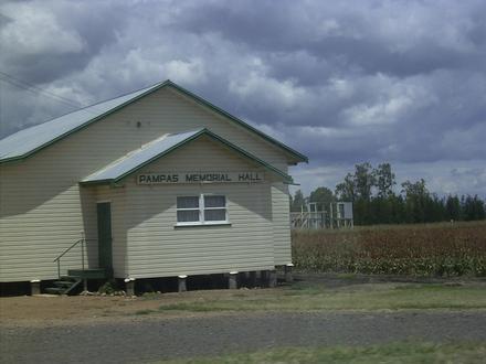 Pampas Image