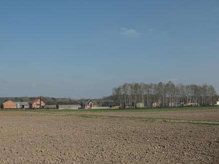 Kosów, Łódź Voivodeship Image