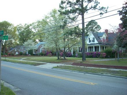 Red Springs Image