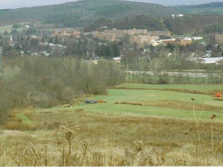 Mansfield Image