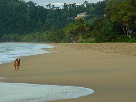 Trinity Beach Image