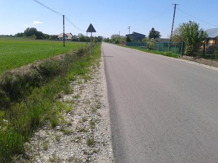 Mokrosęk Image