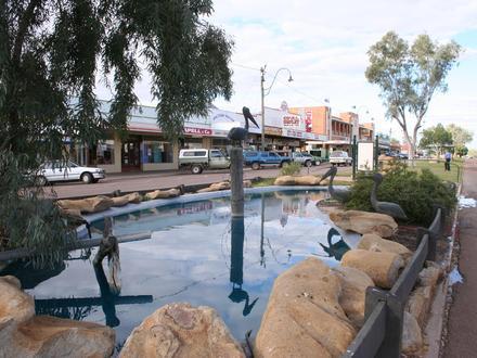 Winton Image