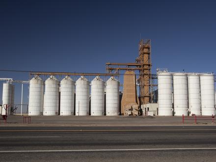 Olton Image