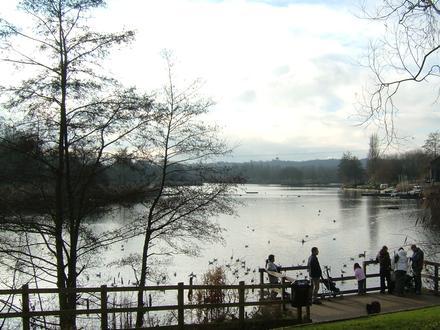 Redditch Image