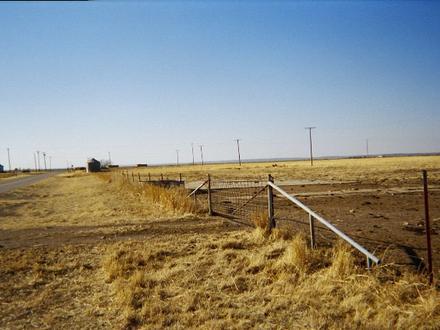 Brinkman Image
